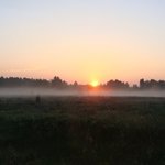 Алина Алинина