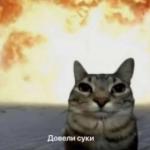 Никита Фалин