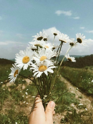 Мария Веденеева