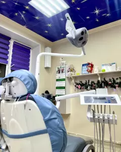 Фотография Яблоко 5