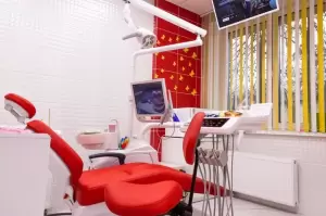 Фотография Панда 0