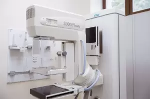 Фотография Александрия 2