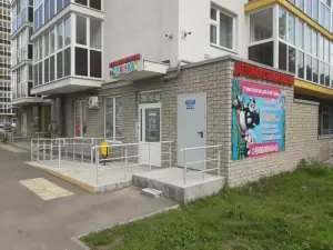 Фотография Панда 1