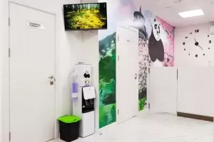 Фотография Панда 4