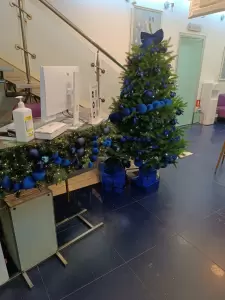 Фотография Академия VIP 5